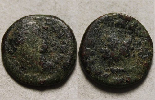 Rare genuine ancient Roman coin Elagabalus Nikopolis Moesia Inferior/Bunch Grape - Picture 3 of 4