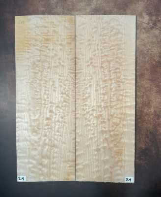 Shell Maple Droptop 3A | Quilted Maple Droptop 3A | Tonewood | Tonewood | #21