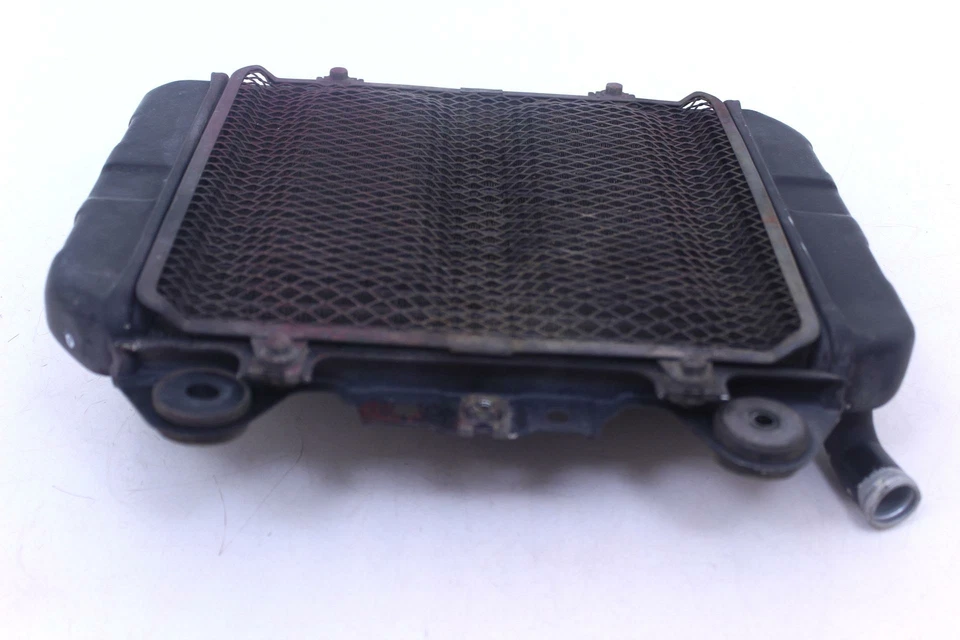 Kawasaki Ninja 250R 1993 fabricante de equipos originales radiador motor enfriador R5.BX16 Foto 4 de 4