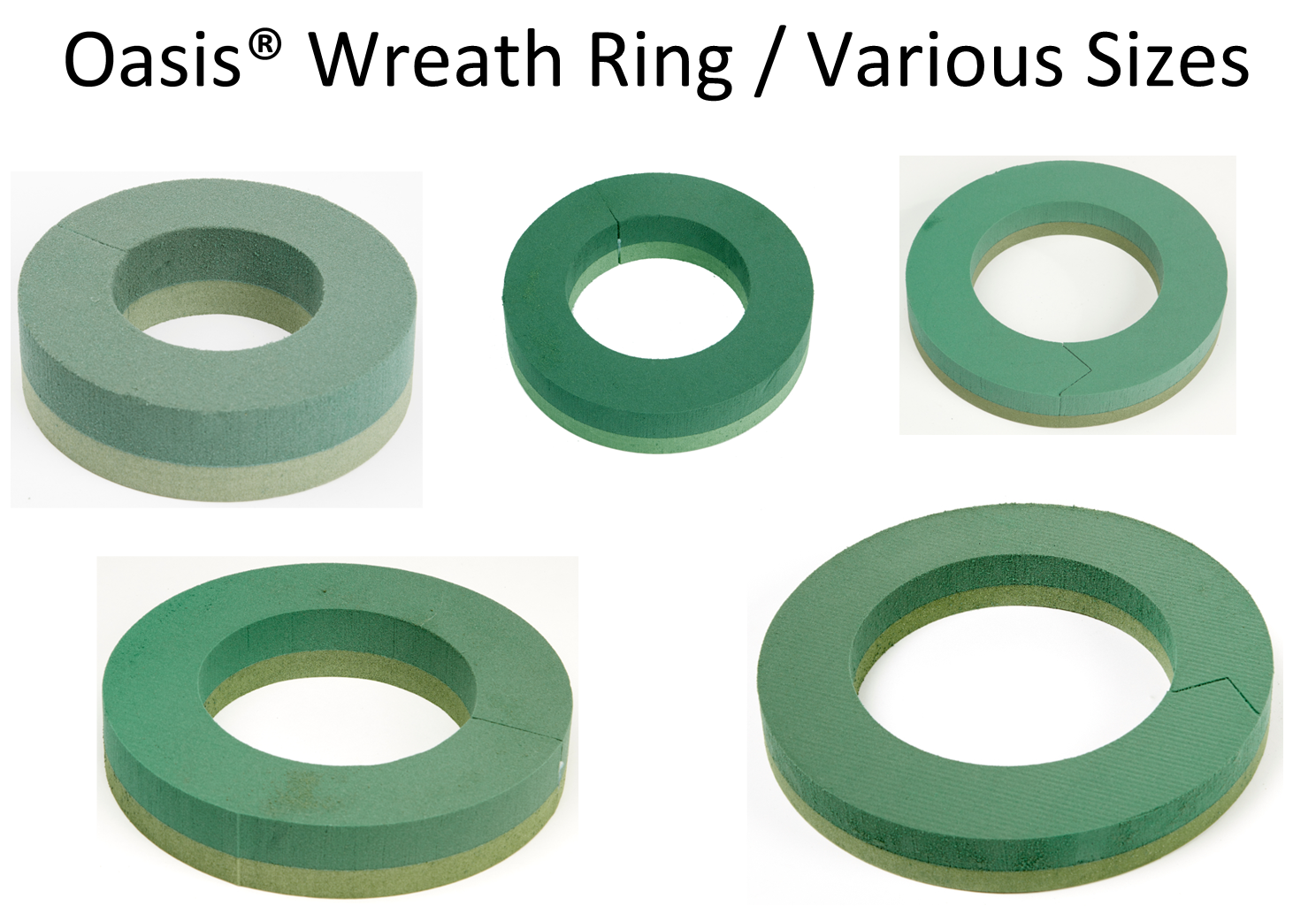 Wreath Ring Oasis® Ideal Floral WET FOAM Ring Various Sizes Funeral