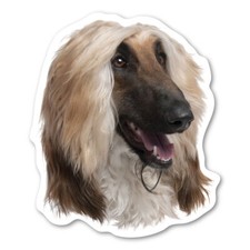 Afghan Hound Magnet