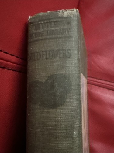 Little Nature Library Wild Flowers Worth Knowing Ed. 1924~ Neltje Blanchan - Picture 8 of 10
