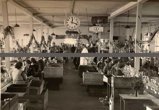 12 x HASAG Lamp Factory Leipzig Reudnitz 1930s 12 Photos