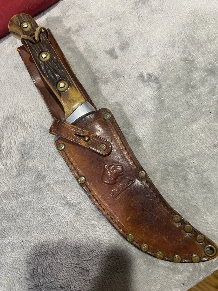 🔥 1967 PUMA 6393 SKINNER KNIFE LEATHER SHEATH W/ EXTRA FAT STAG HANDLE 🔥 - Image 4 of 4