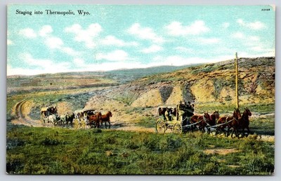 Staging into Thermopolis Wyoming WY Stage Coach Horses c1910 Postcard