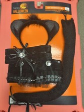 5 piece cat costume accessory kit