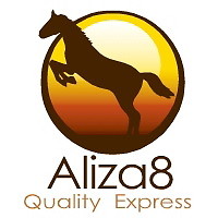 aliza8 | eBay Stores
