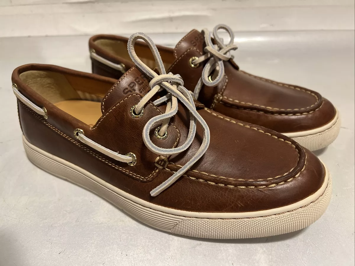 Sperry gold cup asv 2025