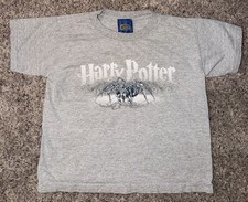 Vintage 2002 Y2K Harry Potter Aragog Spider Chase Shirt Youth Size Large 7