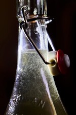 Vinegar Eel Turbatrix aceti Starter Culture - Live Food for Nano Fish and Fry