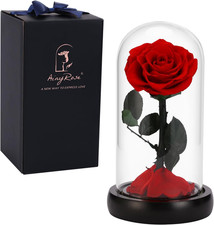 Forever Preserved Red Rose Glass Dome Valentine Day Gift Birthday Anniversary