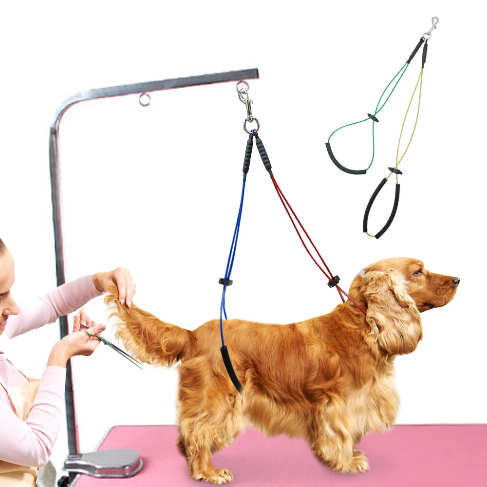 Dog grooming 2025 restraint equipment