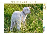 Calvendo Puzzle Cute Little Sheep | 2000 Pieces, Finished Size 35.4 × 26.4 In (9