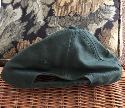 VINTAGE LOONEY TUNES WARNER BROS STUDIO STORE HAT | eBay