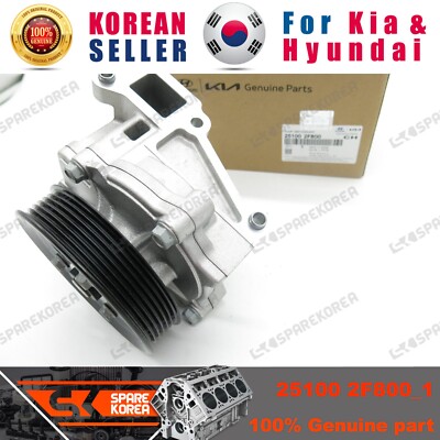 Genuine/OEM 251002F800 PUMP ASSY-COOLANT for Hyundai Santa Fe 18
