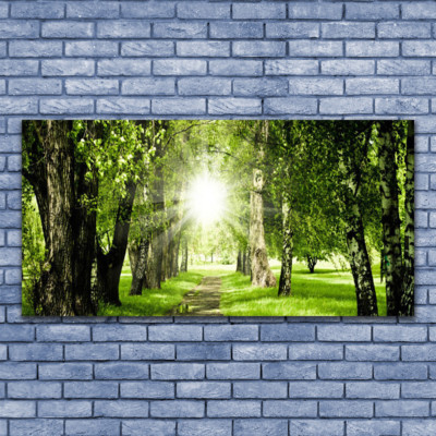 Tableau Image Impression sous verre 140x70 Nature Forêt Montagne