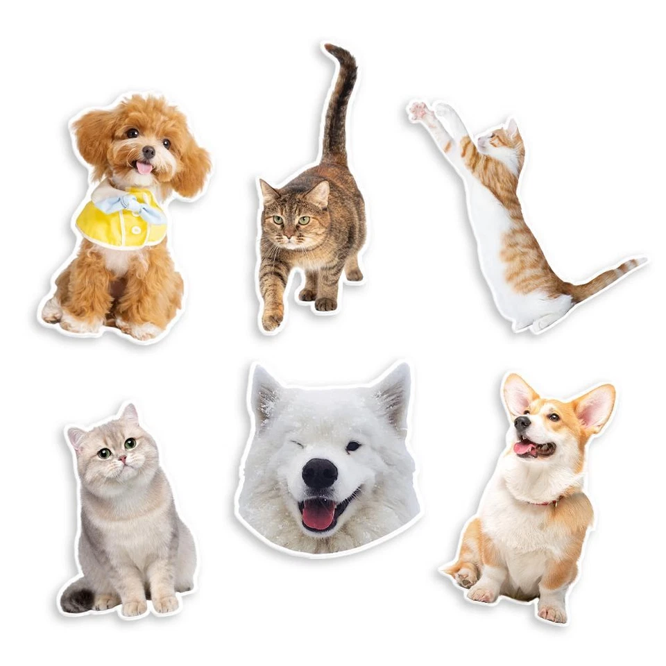 Personaje de dibujos animados acrílico magnético, gato y perro personalizado frigorífico personalizado D2P3 Foto 4 de 4