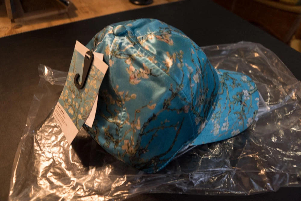 Van gogh vans hat 2025
