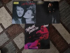Ted Nugent Vinyl Lot – Little Miss Dangerous - Nugent - Double Live Gonzo