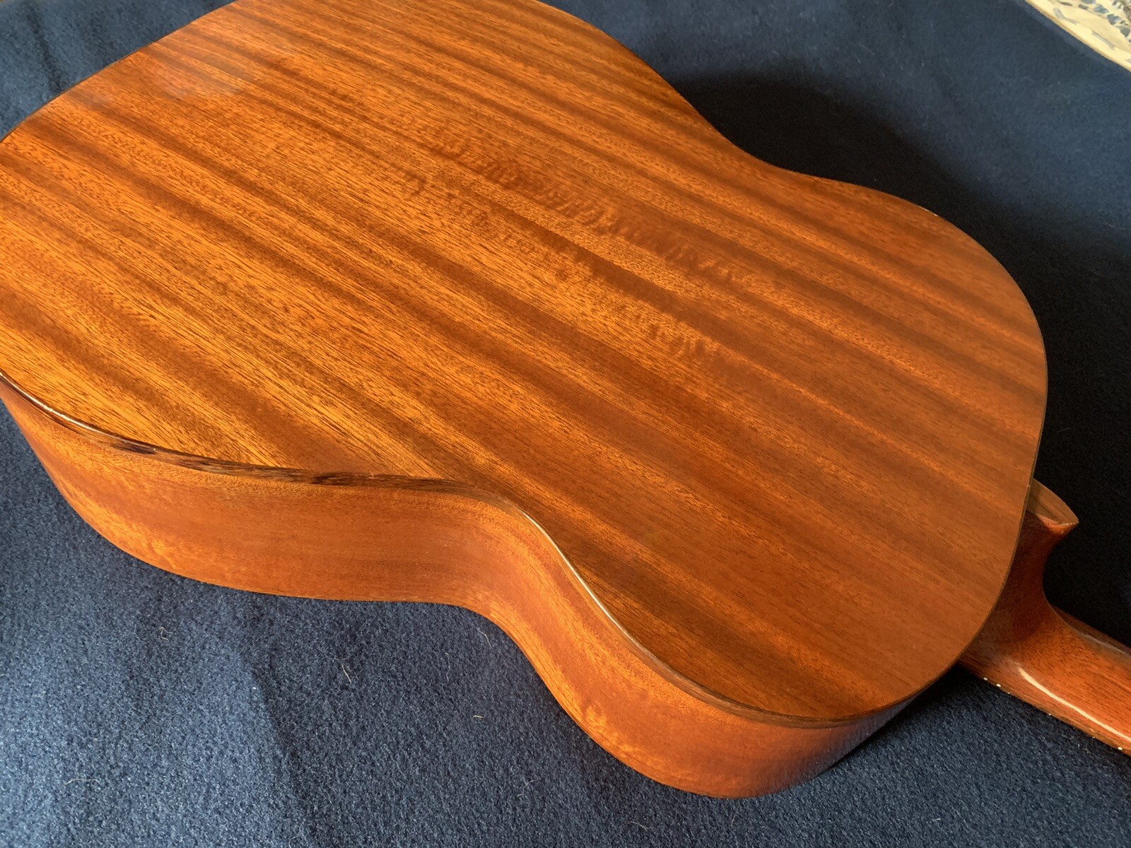 Fylde Olivia Acoustic Guitar eBay