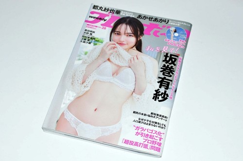 Weekly Play Boy No.28 2024 Alisa Sakamaki Playboy Japanese Magazine from Japan - Picture 3 of 10
