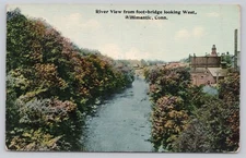 Postcard River View from Foot Bridge Looking West Willimantic Conn A1