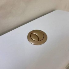 Matt Brass Dual Flush Button For Cistern, New, Object Ceramica