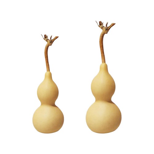 Gourd Shape Dried Gourd Water Bottle Gourd Gourd Shaped eBay