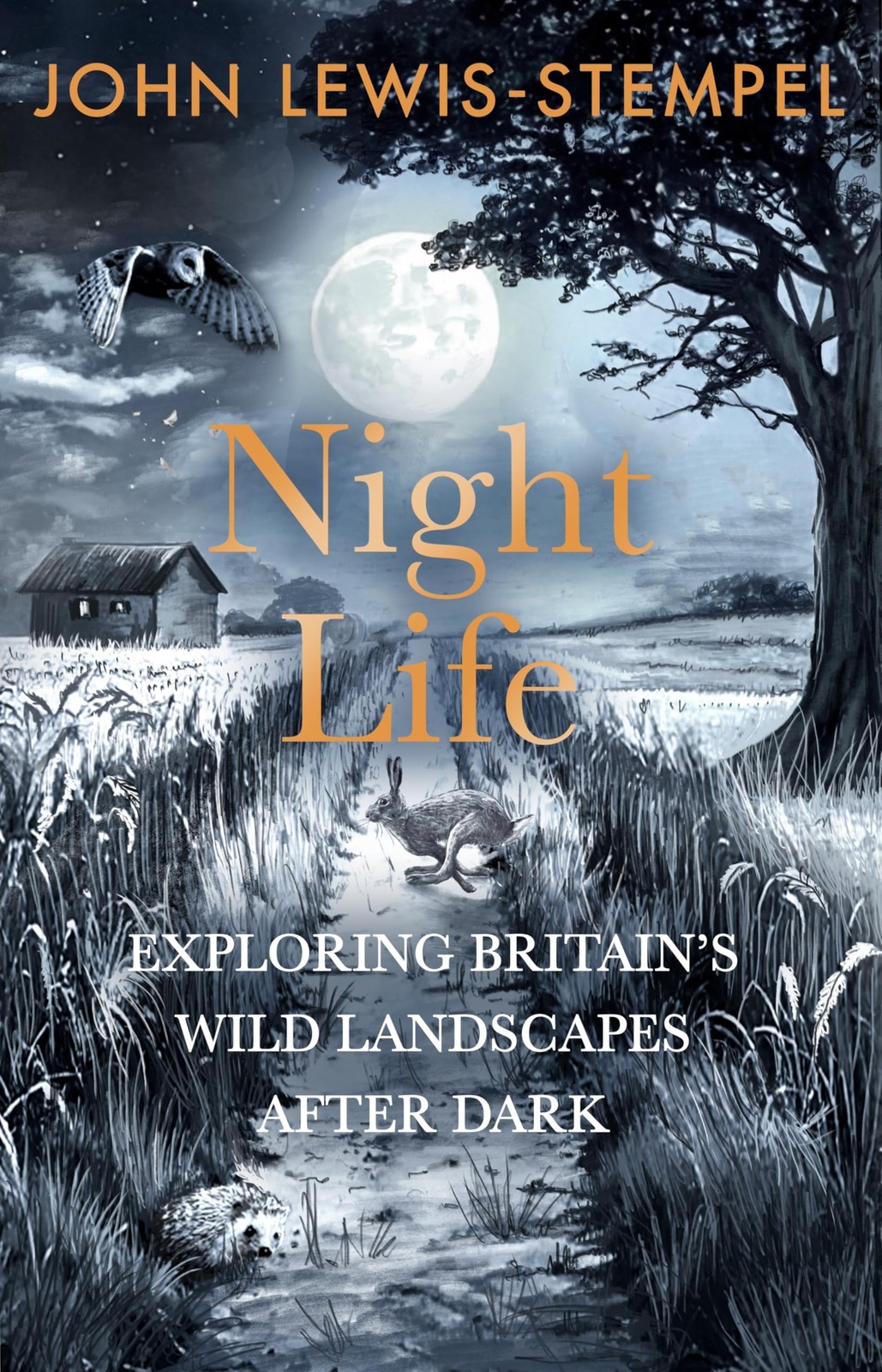 SIGNED/NEW - John Lewis Stempel - Night Life (2025-1st) Britain Nocturnal Nature - Image 6
