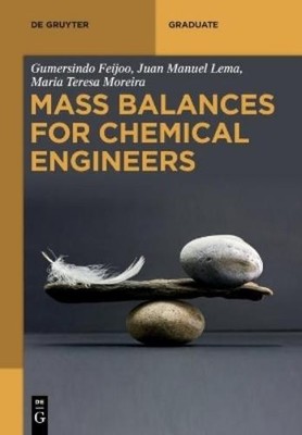 Gumersindo Feijoo Juan Manuel Lema Maria Te Mass Balances for Chemic (Paperback)