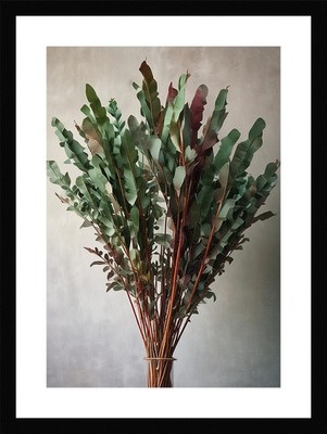 Vibrant Eucalyptus Branches Framed Wall Art Poster Canvas Print Picture