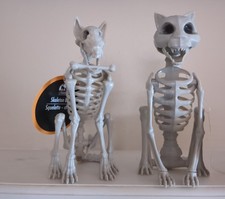 Halloween Skeleton Cat Dog Creepy Home Halloween Decoration indoor outdoor