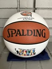 Dennis Rodman Spalding Hall of Fame Basketball  /1000