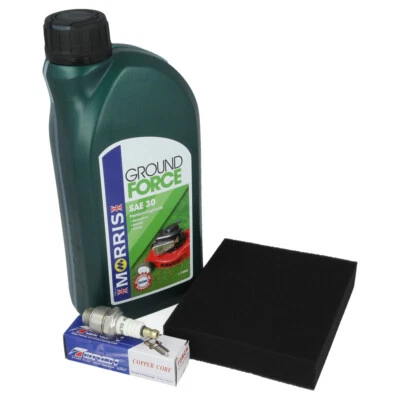 Air Filter, Oil, Spark Plug Service Kit Fits MOUNTFIELD RV150,SV150, V35 Engines