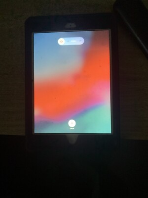 Pre Owned iPad With TIKTOK 