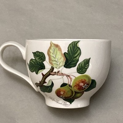 Portmeirion Pomona Britain Teinton Squash Pear Teacup Susan Williams-Ellis READ