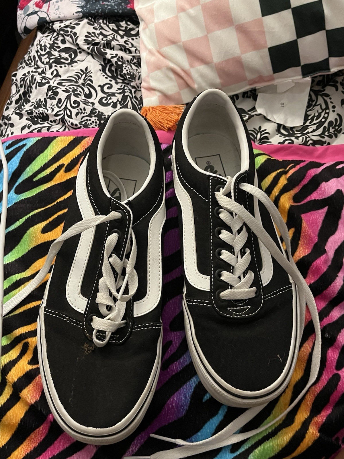 SAOLA furgoni grosso pizzo sola