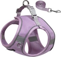 Aiitle No Pull Hundegeschirr Und Leinen-Set, Step-In Verstellbares