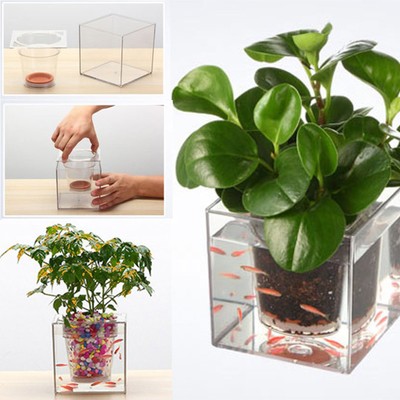 New Self-Watering Flower Planter Pot Acrylic Aquarium Fish Tank Multi-Functional New Self-Watering Flower Planter Pot Acrylic Aquarium Fish Tank Multi-Functional