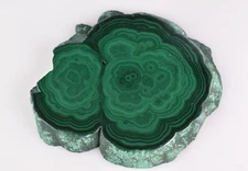 Malachite Stalactite Slice from Congo 7.9 cm   # 20098