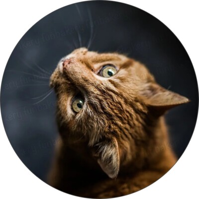Katze eßbar Tortenaufleger Muffin Bild Party Deko Geschenk neu Geburtstag Tiger