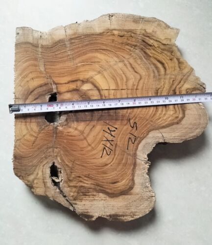 live edge slice of indian teak wood burl wood with high grains for casting craft - Picture 10 of 10