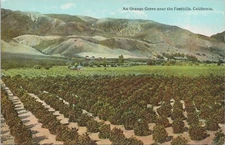 Lithograph * California Scene Orange Groves & Farms at Foothills CA early 1900s