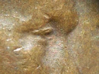 HIGH GRADE MINT ERROR 1946-S  LINCOLN WHEAT CENT DDO#1   AU