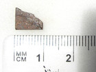 .274 grams•NWA 7487 Meteorite•H4•Cut Fragment Rare•COA — photo 3