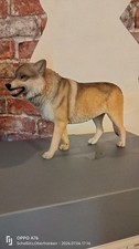 JXK Studio Wolf 1/6 Mit Box