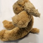 Bild 8 von 10