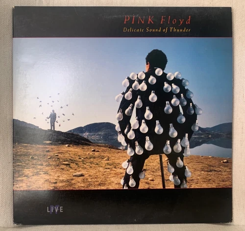 PINK FLOYD - DELICATE SOUND OF THUNDER ORIG 1988 US 12" DOUBLE LP EXCELLENT