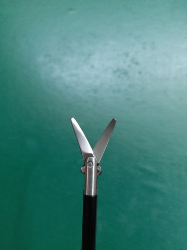 Laparoscopic Curved Scissors Grasping Forceps Surgical Instruments CE Approved - Picture 4 of 9