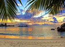 BELECO Sunset Beach Backdrop 7x5ft Fabric Summer Tropical Sea 7x5FT, Beach-26